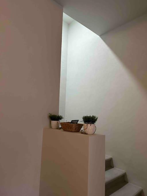 Casa Privada En Villa Bricia Cuernavaca Exterior foto
